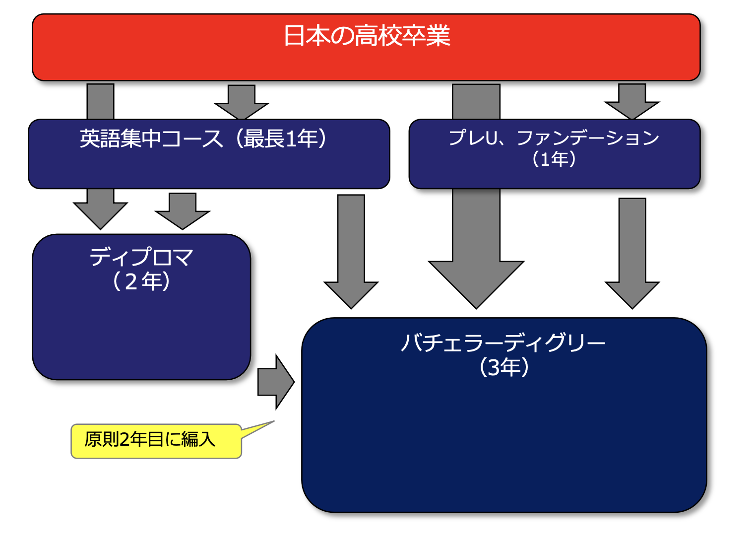 進学ルート 進学ルート